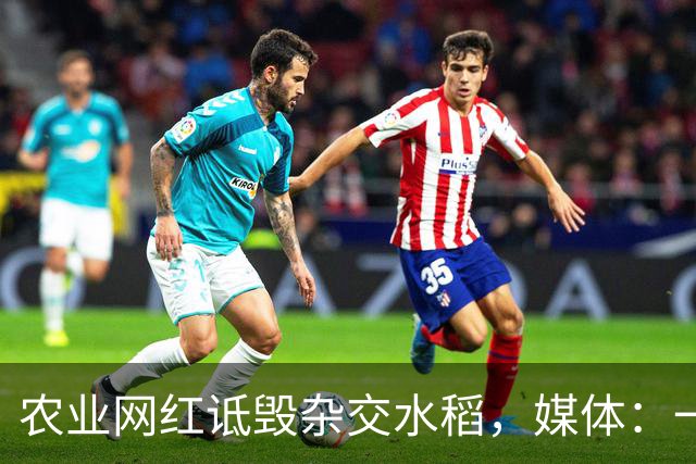 农业网红诋毁杂交水稻，媒体：一些人还是吃得太饱了！
