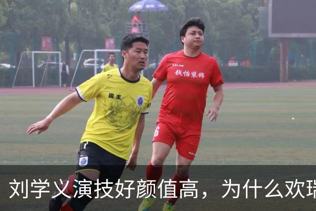 刘学义演技好颜值高，为什么欢瑞就是不捧他？